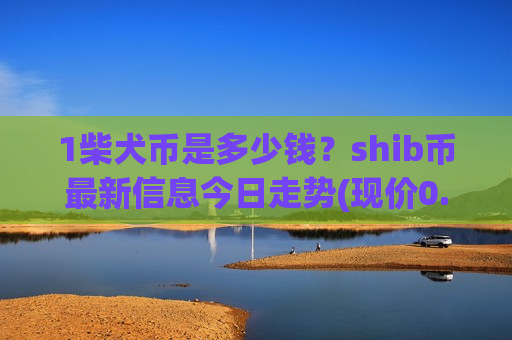 1柴犬币是多少钱？shib币最新信息今日走势(现价0.00019666元)