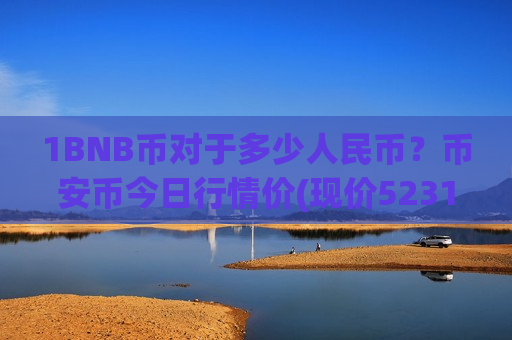 1BNB币对于多少人民币？币安币今日行情价(现价5231.96元)