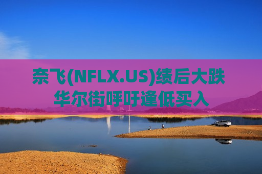 奈飞(NFLX.US)绩后大跌 华尔街呼吁逢低买入