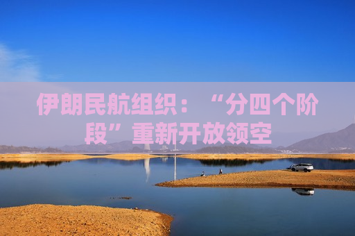 伊朗民航组织：“分四个阶段”重新开放领空