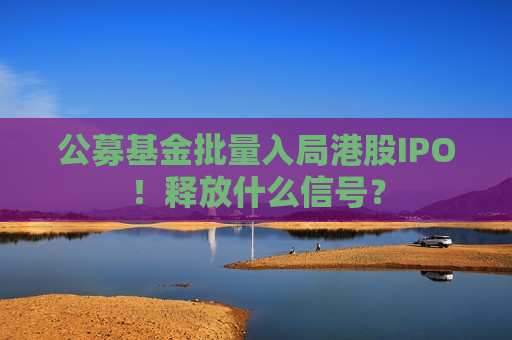 公募基金批量入局港股IPO！释放什么信号？