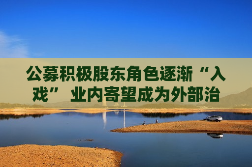 公募积极股东角色逐渐“入戏” 业内寄望成为外部治理引领者
