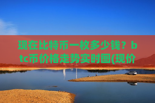 现在比特币一枚多少钱？btc币价格走势实时图(现价769229.15元)