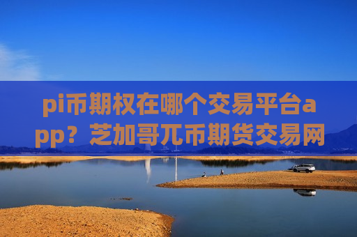 pi币期权在哪个交易平台app？芝加哥兀币期货交易网站