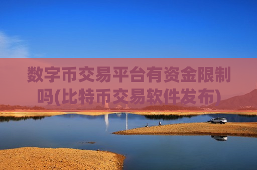 数字币交易平台有资金限制吗(比特币交易软件发布)