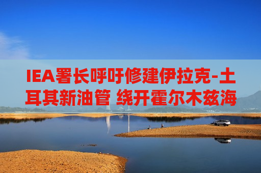 IEA署长呼吁修建伊拉克-土耳其新油管 绕开霍尔木兹海峡重塑中东能源运输格局