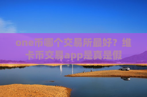 one币哪个交易所最好？维卡币交易app是真是假