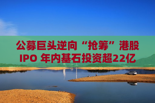 公募巨头逆向“抢筹”港股IPO 年内基石投资超22亿港元
