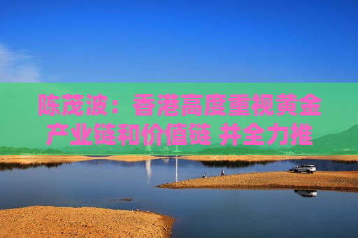 陈茂波：香港高度重视黄金产业链和价值链 并全力推动“金融+”发展战略