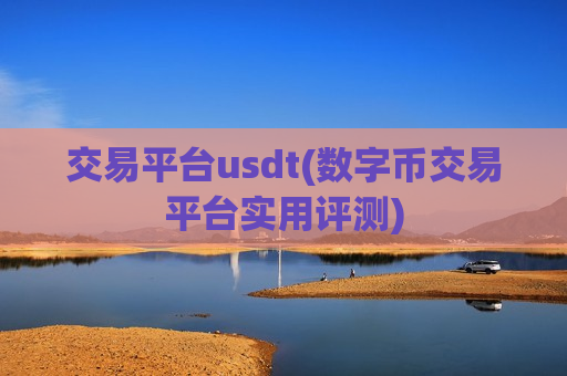交易平台usdt(数字币交易平台实用评测)