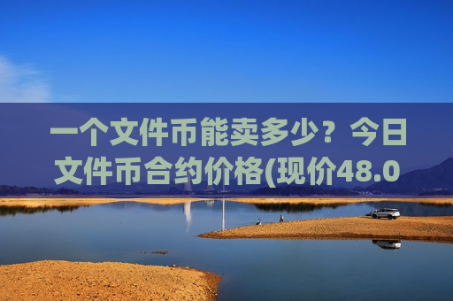 一个文件币能卖多少？今日文件币合约价格(现价48.079元)