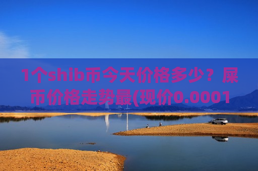 1个shib币今天价格多少？屎币价格走势最(现价0.00019964元)