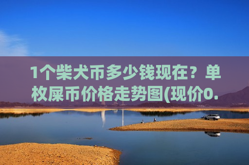 1个柴犬币多少钱现在？单枚屎币价格走势图(现价0.00020001元)