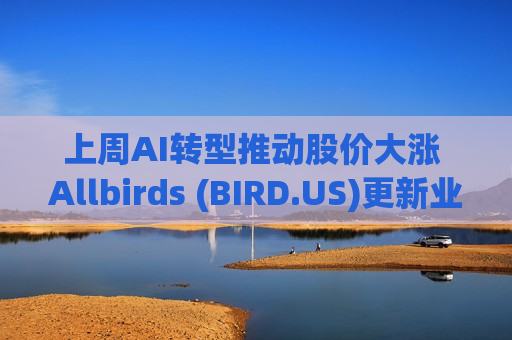 上周AI转型推动股价大涨 Allbirds (BIRD.US)更新业绩指引