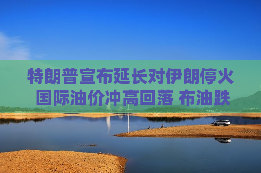 特朗普宣布延长对伊朗停火 国际油价冲高回落 布油跌至100美元下方