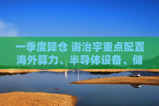 一季度降仓 谢治宇重点配置海外算力、半导体设备、储能、化工板块