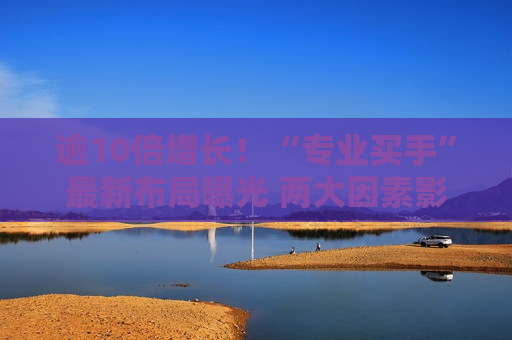 逾10倍增长！“专业买手”最新布局曝光 两大因素影响未来配置