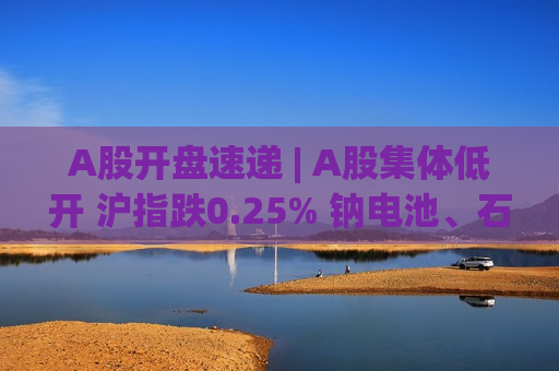 A股开盘速递 | A股集体低开 沪指跌0.25% 钠电池、石油产业链等板块涨幅居前