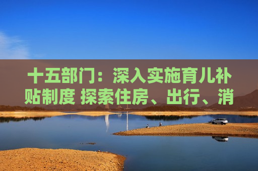 十五部门：深入实施育儿补贴制度 探索住房、出行、消费等多领域联动的生育支持政策