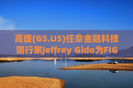 高盛(GS.US)任命金融科技银行家Jeffrey Gido为FIG联席主席