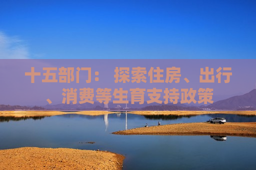十五部门： 探索住房、出行、消费等生育支持政策