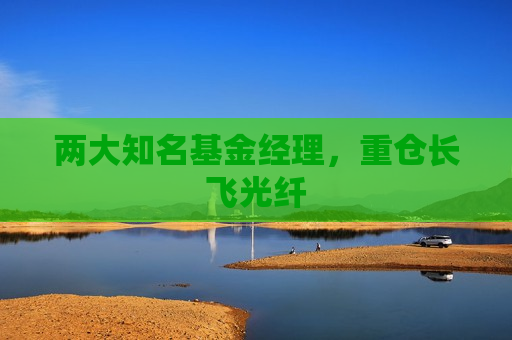 两大知名基金经理，重仓长飞光纤