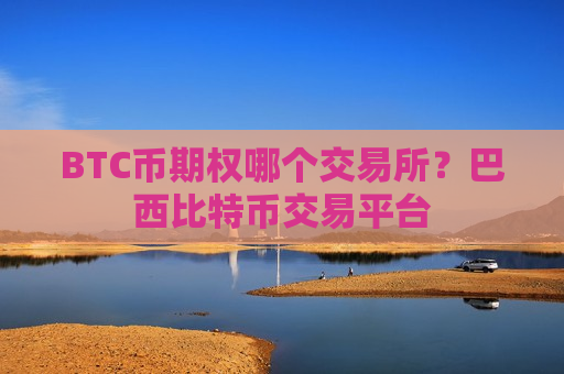 BTC币期权哪个交易所？巴西比特币交易平台