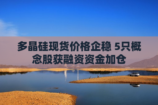 多晶硅现货价格企稳 5只概念股获融资资金加仓