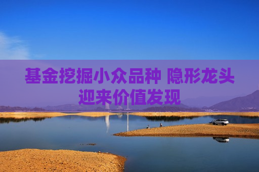 基金挖掘小众品种 隐形龙头迎来价值发现