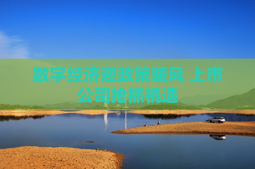 数字经济迎政策暖风 上市公司抢抓机遇