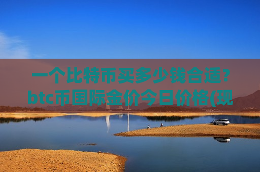 一个比特币买多少钱合适？btc币国际金价今日价格(现价771391.65元)