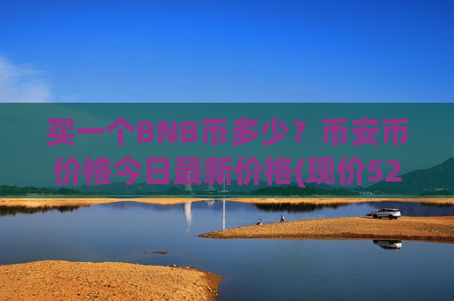 买一个BNB币多少？币安币价格今日最新价格(现价5285.93元)