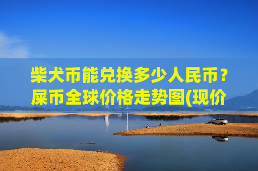 柴犬币能兑换多少人民币？屎币全球价格走势图(现价0.00019972元)