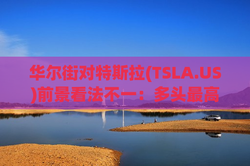 华尔街对特斯拉(TSLA.US)前景看法不一：多头最高看至600美元，空头警告现金流风险