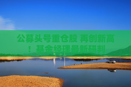 公募头号重仓股 再创新高！基金经理最新研判