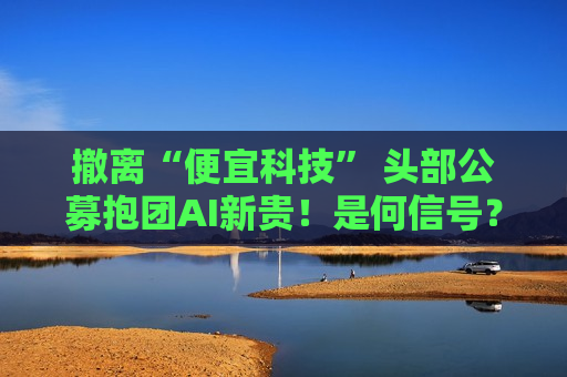 撤离“便宜科技” 头部公募抱团AI新贵！是何信号？