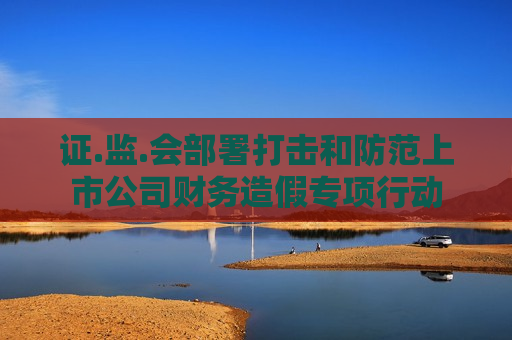 证.监.会部署打击和防范上市公司财务造假专项行动