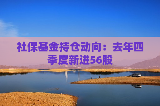 社保基金持仓动向：去年四季度新进56股
