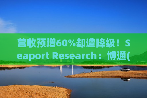 营收预增60%却遭降级！Seaport Research：博通(AVGO.US)触及AI行业增长天花板