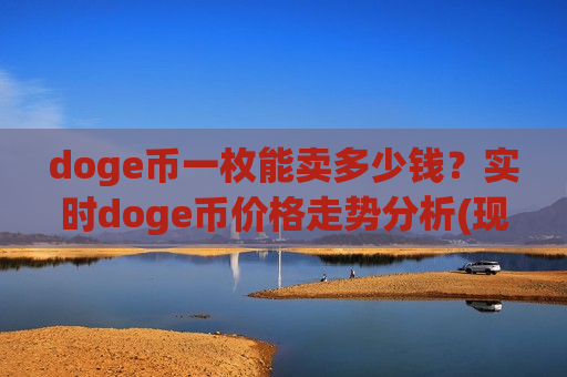 doge币一枚能卖多少钱？实时doge币价格走势分析(现价2.8035元)