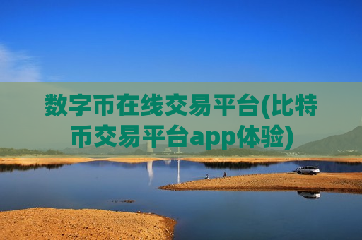 数字币在线交易平台(比特币交易平台app体验)