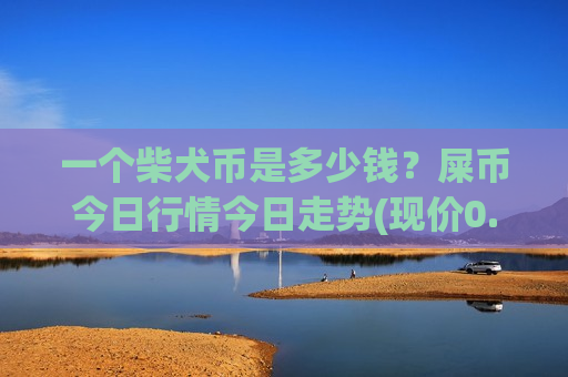 一个柴犬币是多少钱？屎币今日行情今日走势(现价0.00018745元)