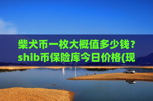 柴犬币一枚大概值多少钱？shib币保险库今日价格(现价0.00018759元)