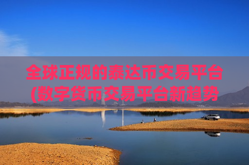 全球正规的泰达币交易平台(数字货币交易平台新趋势)