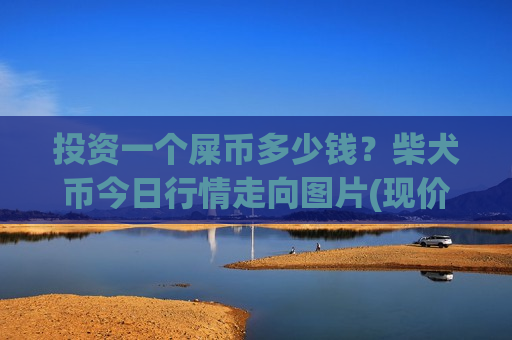 投资一个屎币多少钱？柴犬币今日行情走向图片(现价0.00018796元)