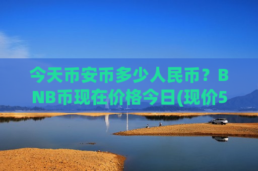 今天币安币多少人民币？BNB币现在价格今日(现价5229.46元)