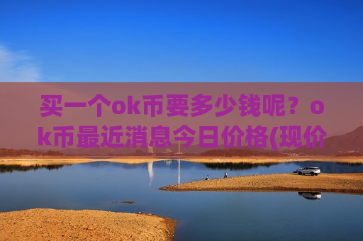 买一个ok币要多少钱呢？ok币最近消息今日价格(现价376.512元)