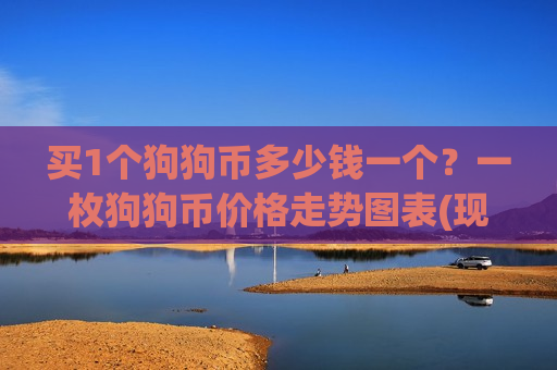 买1个狗狗币多少钱一个？一枚狗狗币价格走势图表(现价2.8064元)