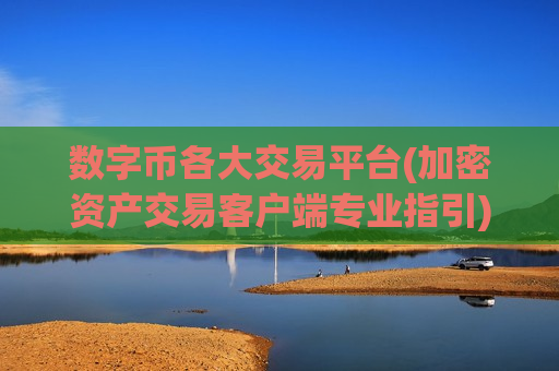 数字币各大交易平台(加密资产交易客户端专业指引)