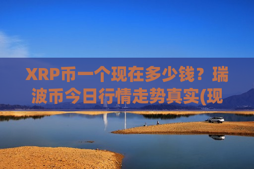 XRP币一个现在多少钱？瑞波币今日行情走势真实(现价18.5163元)